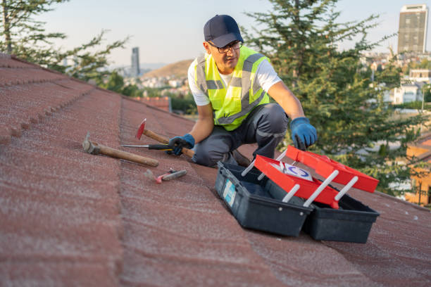 Best Storm Damage Siding Repair  in Harmony, PA